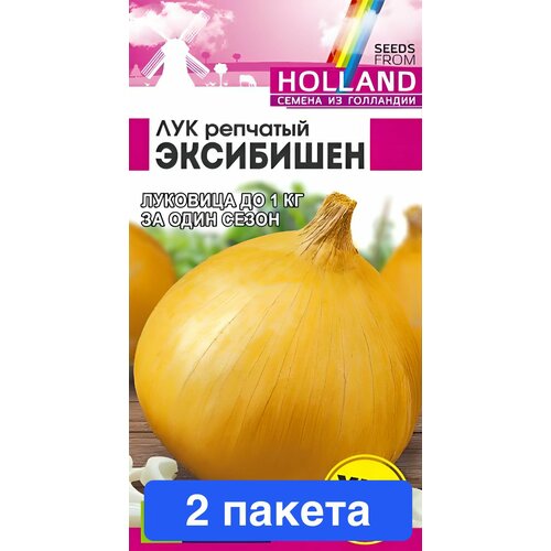 ������ ������ ������ ������ ������ ����� 