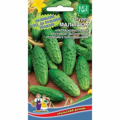 ������ ������ ������ ������ ������� F1 10�� ����