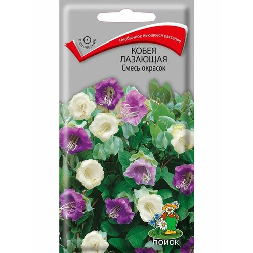 ������ ������ ������ ����� �������� ����� ������� ���������� 5 ��. ����