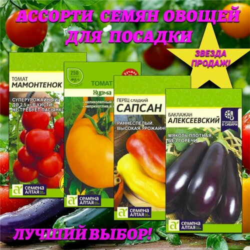 ������ ������ ������� ����� ������: �����, �����, ��������. ������ ����� ����