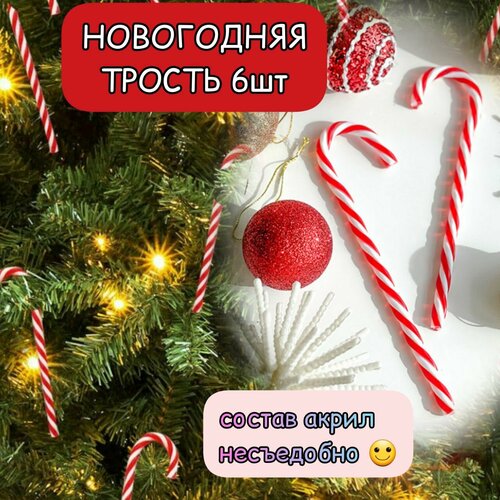 ������ ������ ������� ��������� ���������� ������ 6�� ����