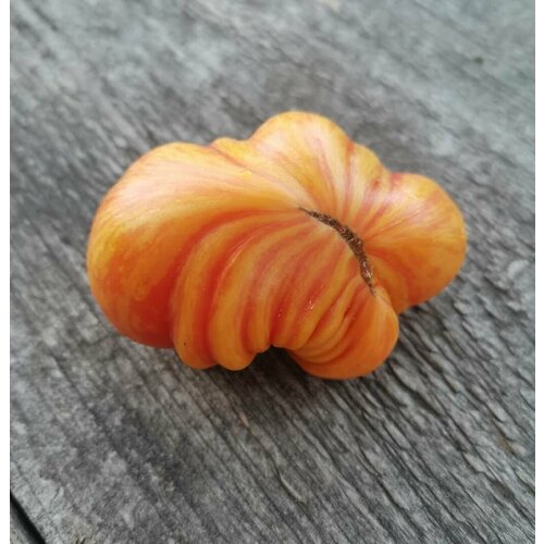 ������ ������ ������������� ������ ������ ��������� ����� ����