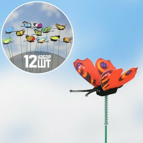 ������ ������ ����� �������� 