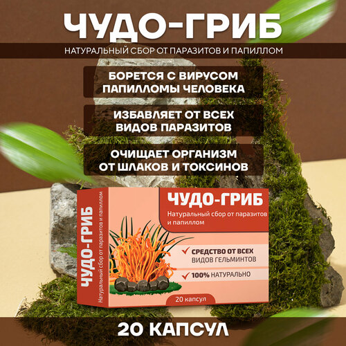 ������ ������ ��������������� ���� ���� �� ��������� � �������� 1 ������� ����