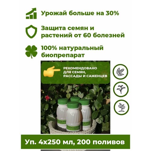 ������ ������ ���������� ���������� - ����������� ������ 4 ���. �250�� ����������� ��������� ��� �������� ������ ����. ����� �������� �� ����� 60 ��������, �������� ����������� �� 30%. ����