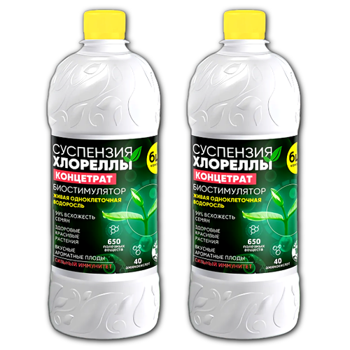 ������ ������ ��������� �������� ����������, 2 �� �� 1 � ����