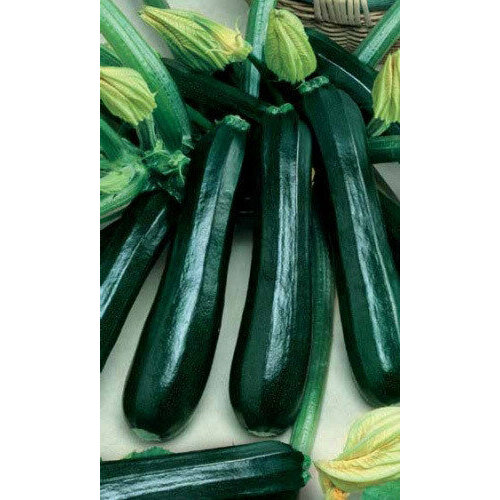 ������ ������ ������ ������� ������ �������� 10�� (��) �/� ����