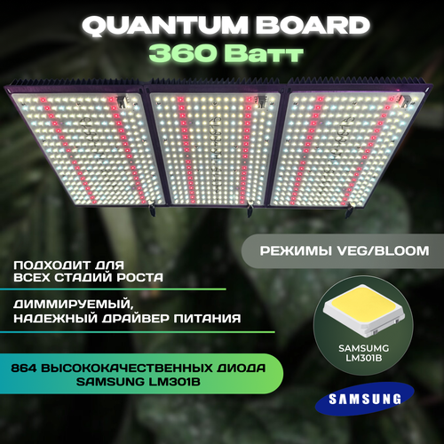������ ������ �������������� Quantum Board 360 ����, ����� Samsung LM301B ��������� ��� �������� ����