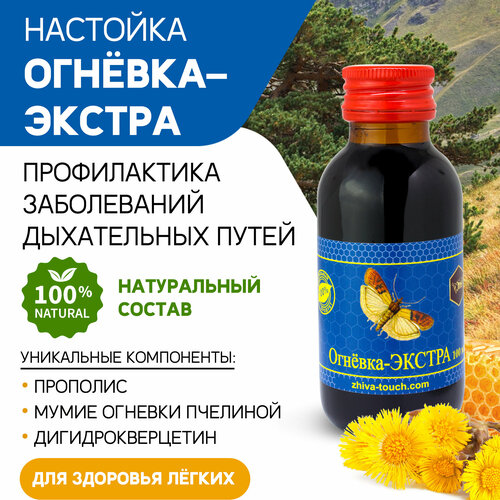 ������ ������ �������� ������� ������ - ��� �������, �� �����, �� ��������, ���������� ����������� 100 ��. ����