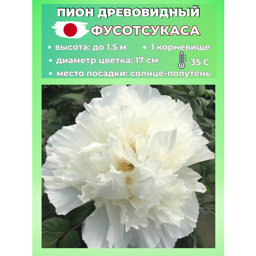 ������ ������ ���� ����������� ����������, ������� 1 ����� ����