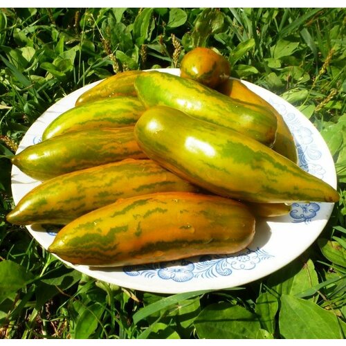 ������ ������ ������� ������� ������ ������� ����