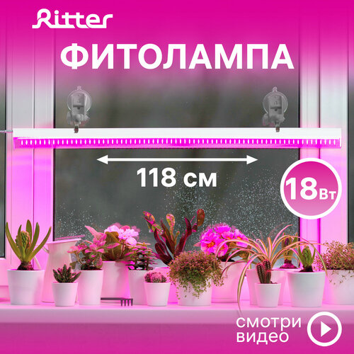 ������ ������ ��������� ������������ ��� �������� �5 Ritter PLANTA, 18��, 1180�23�34��, ������ 2�, ����������� �� �������, ���� �����, �������������� ��� ������� ��������, ���������� ��� ��������� ������, 56292 4 ����