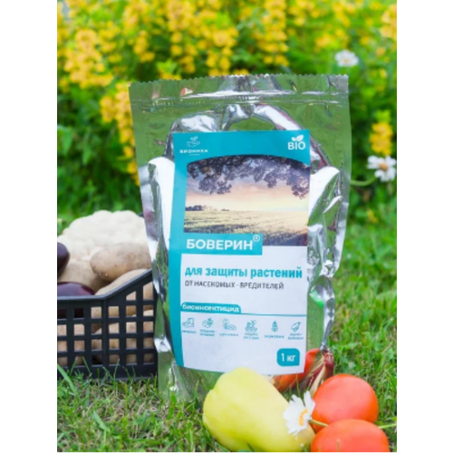 ������ ������ ����������� ������� ������� �� ��������� ���������� �� ������� 1 �� ����