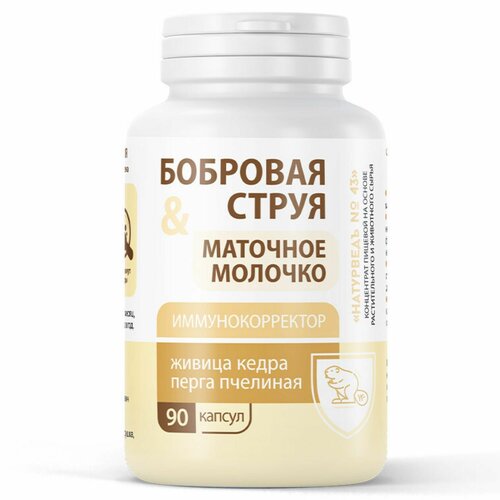 ������ ������ ����� ����� �������� � �������� ��������, 90 ������ ����