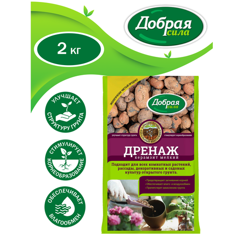 ������ ������ ������ ���� ������������ ������ ������ 2 ����� ����