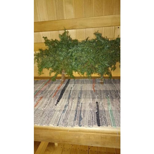 ������ ������ ������ ������������ 2 �� ����