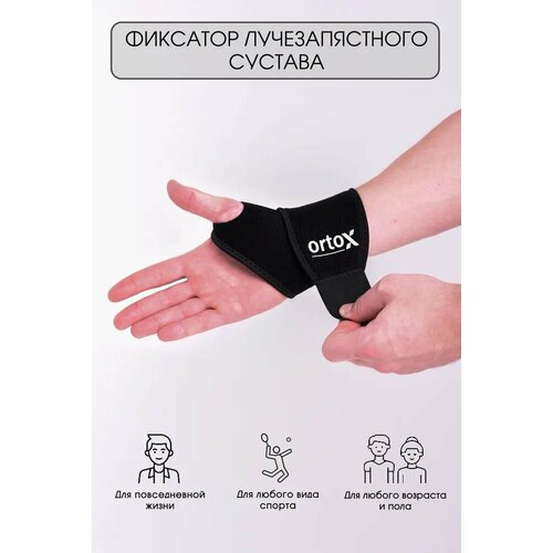 ������ ������ �������� �������������� ������� OrtoX ����