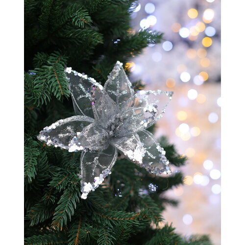 ������ ������ �������������� ��������� ������, �������, 20 �� ����