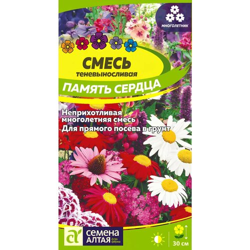 ������ ������ ����� ������ ������ ����������� �������������� (0,5 �) ����