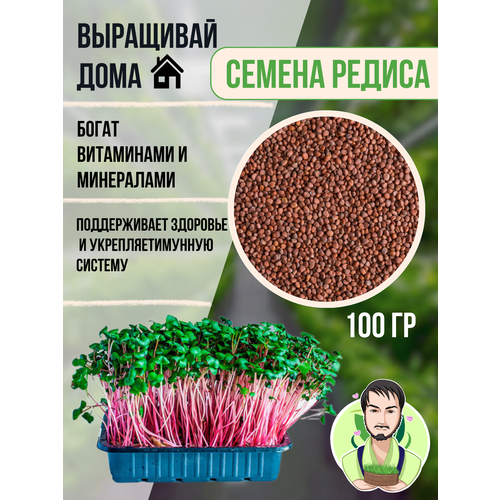 ������ ������ �����. ����� �����������. ������ ��� ������������ ����