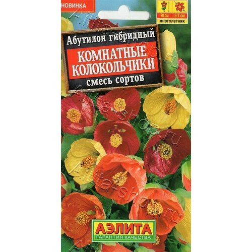 ������ ������ ������ �������� ��������� ������������ (����� ������) 15��. (������) ����