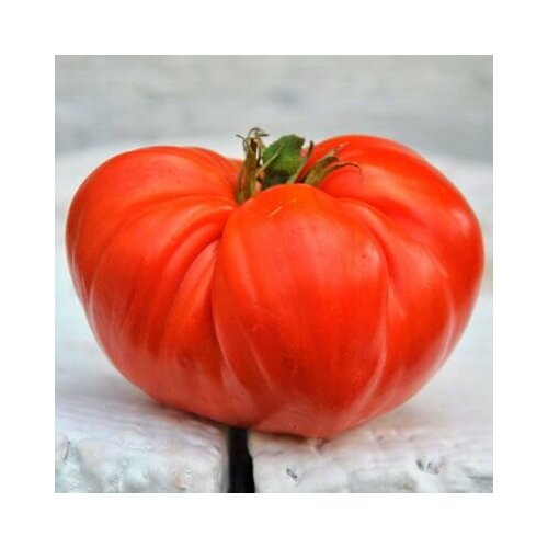 ������ ������ ������������� ������ ����� ��������� ����