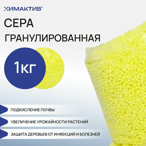 ������ ������ ���� ��������������� 1 �� , ��� ��������, ��������, ��������� �������� ����