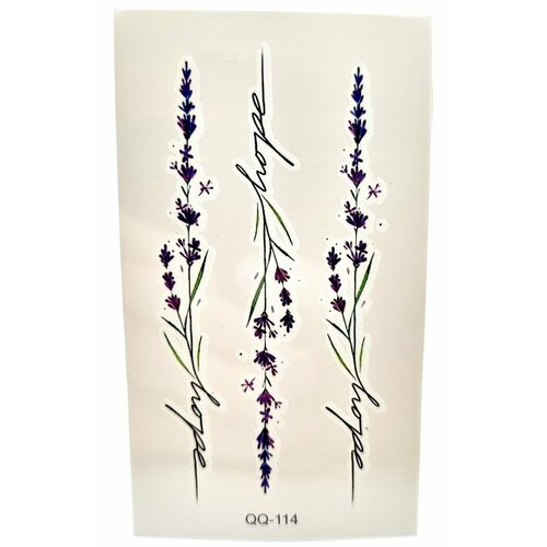 ������ ������ ����� ��������� ���������� 