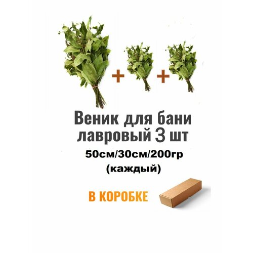 ������ ������ ����� ��� ���� �������� ������� 3 �� ����