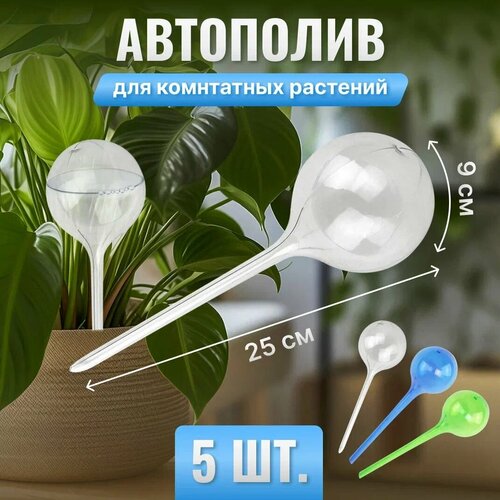 ������ ������ ��������� ��� ��������� ��������, ����������� 25�9�� - 5 ����� ����