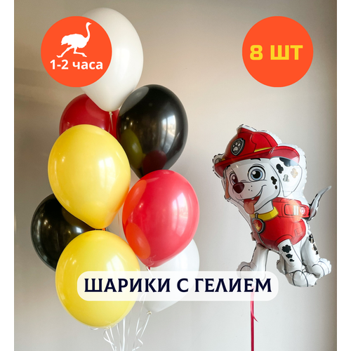 ������ ������ ������ ��������� �� ���� ��������, ��������� ���� � ������, ���� � ���� ��������, ����� ����� ��� �������� 