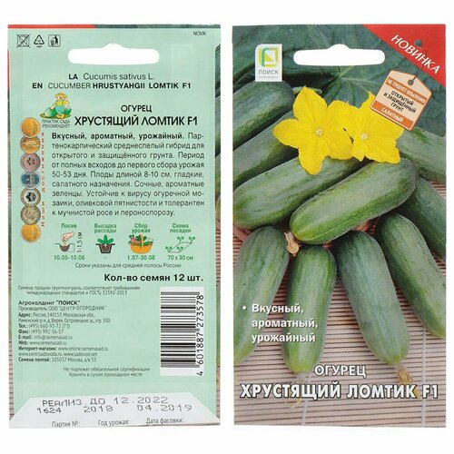 ������ ������ ������ ������ ��������� ������ F1 12�� ������������������ (�����) ����