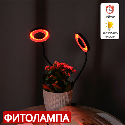 ������ ������ ��������� ��� ��������, ������ � ������� ����