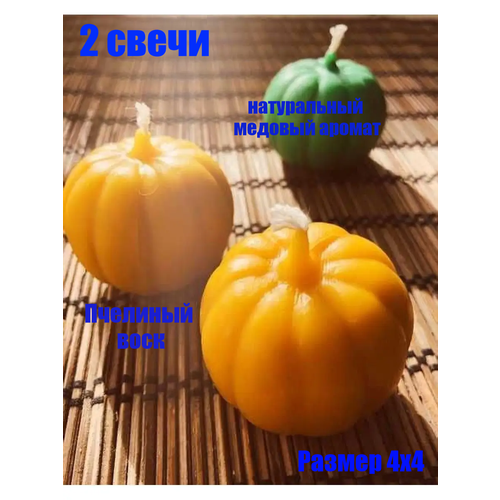 ������ ������ ����� ����� �������� ����