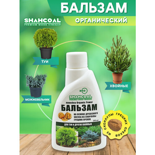 ������ ������ ������� ��� ��� � ������� ������� ������������ ��������� ����������������� ����