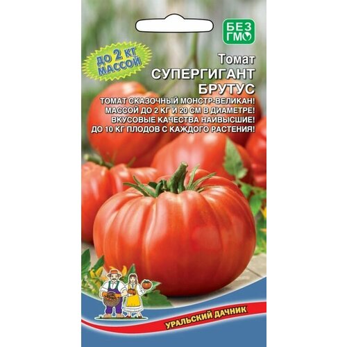 ������ ������ ������ ����� ����������� ������ 20�� ��������� ������ ����