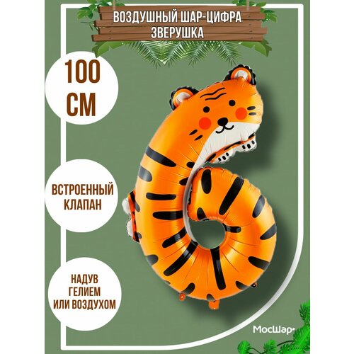 ������ ������ ��������� ��� �����, �������������� ���-����� 6 �������� ����