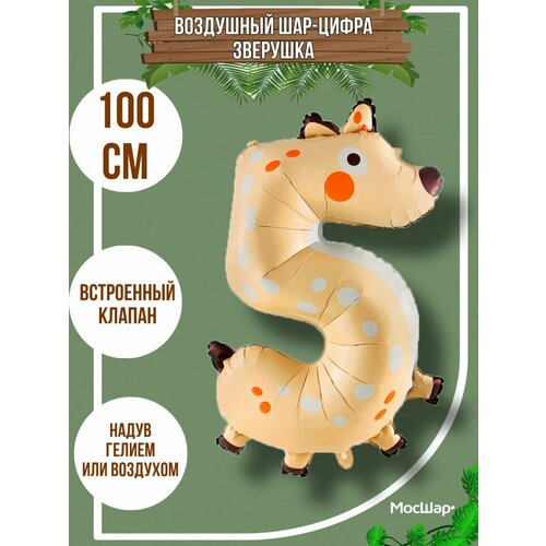 ������ ������ ������ �������������� ���-����� 5 �������� ����