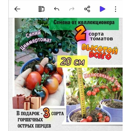 ������ ������ ������ ��� ���������� �����������, ����� ����������� � ����������� ���, �������� �������� � ���, ������������� ����� ����