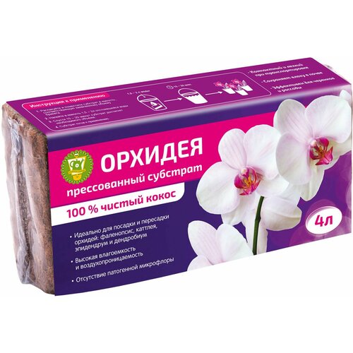 ������ ������ �������� ��������� ��� �������� ��x���� 4 � ������ ����