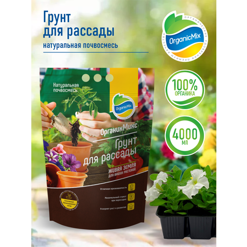 ������ ������ ����� ��� ������� ����������� 4 ����� ����