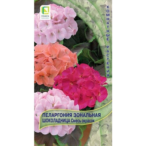 ������ ������ ���������� ��������� ����������� ����� ������� 5 �����, ����� ����