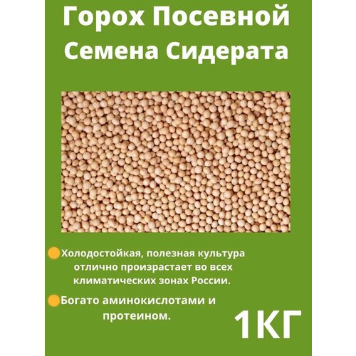 ������ ������ ������ ������ 1 �� ����