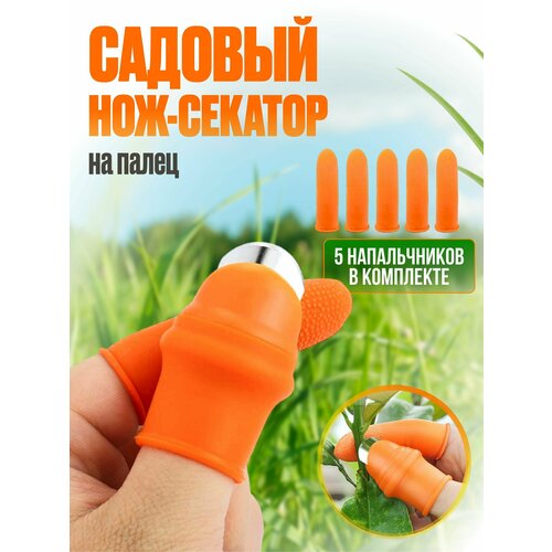 ������ ������ ���������� � ������� ������� �� ����� ����