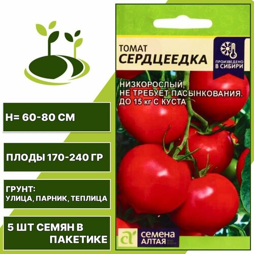 ������ ������ ����� ���������� 1 �� ��, ������ �����, ���������� ����� � �������� 5 �� ����