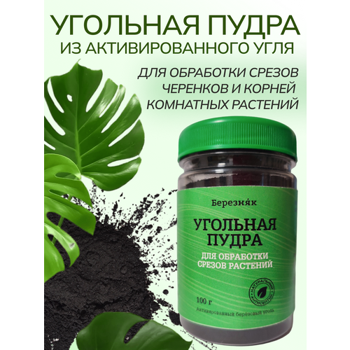 ������ ������ �������� ����� ��� �������� �������� 100 ����� ����