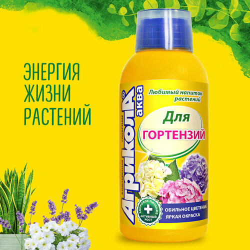 ������ ������ �������� ���� ��� ��������� ����