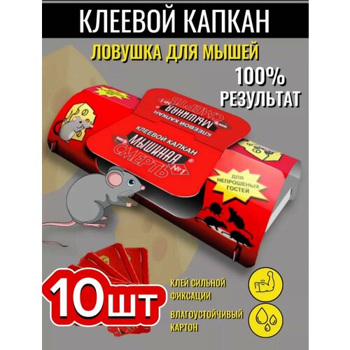 ������ ������ ������� �������, ������� ������, ������� ������ -10�� ����