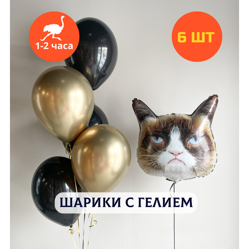 ������ ������ ������ ��������� �� ���� ��������, ��������� ���� � ������, ���� � ���� ��������, ����� ����� ��� ������� 