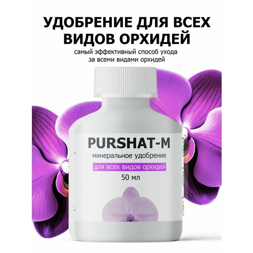 ������ ������ ��������� ������ ��� ������� 50 �� ����